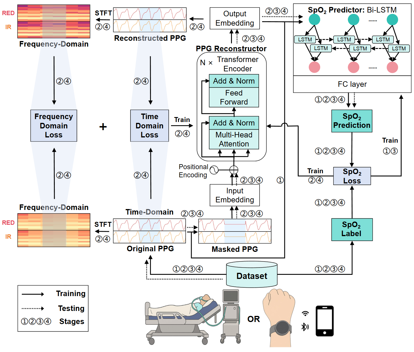 Model architecture