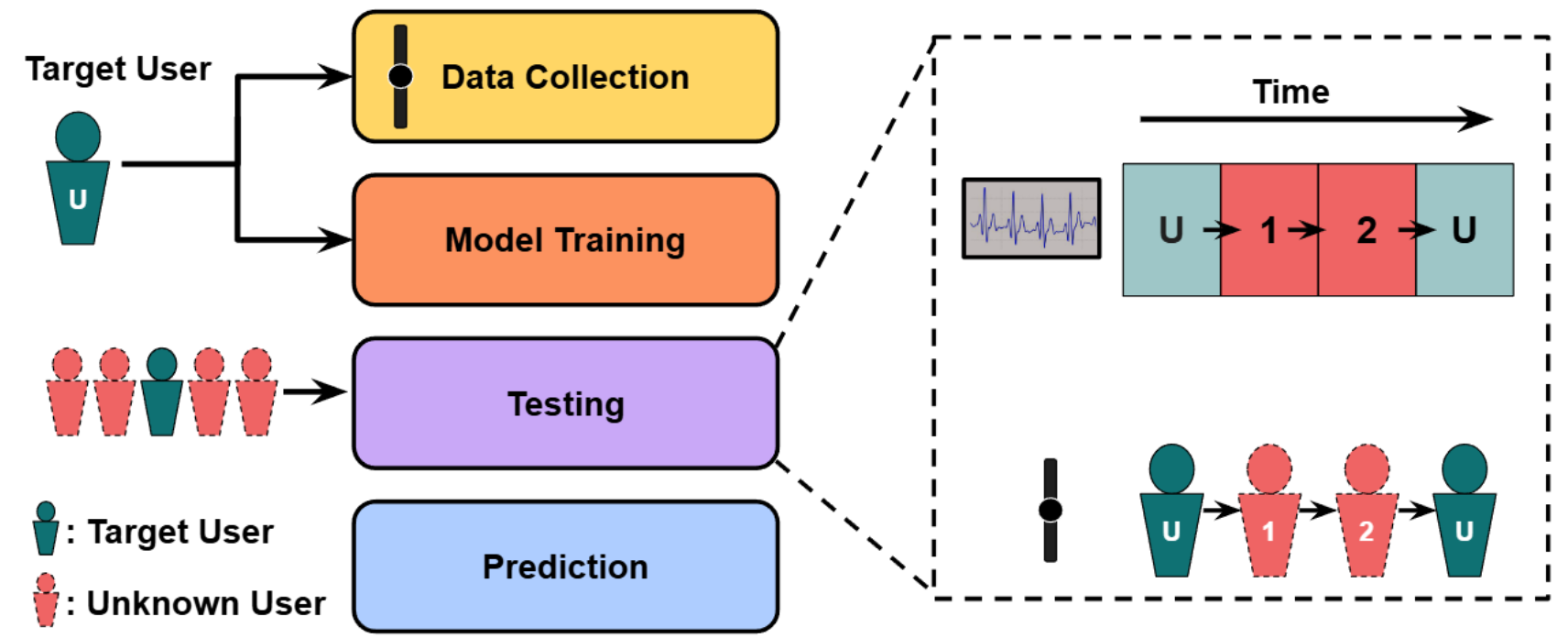 Model architecture
