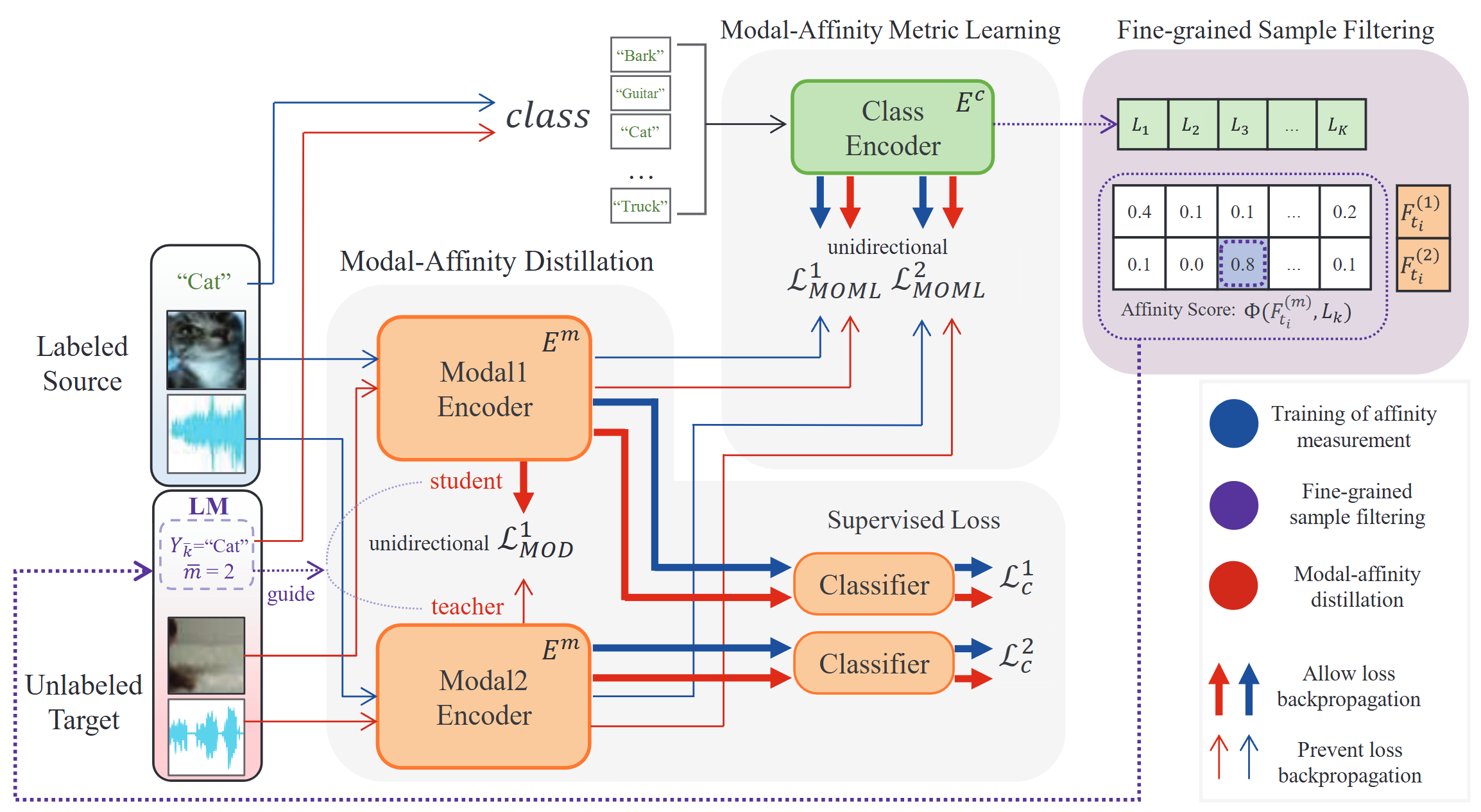 Model architecture